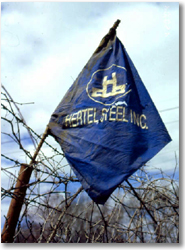 Hertel Steel Inc.