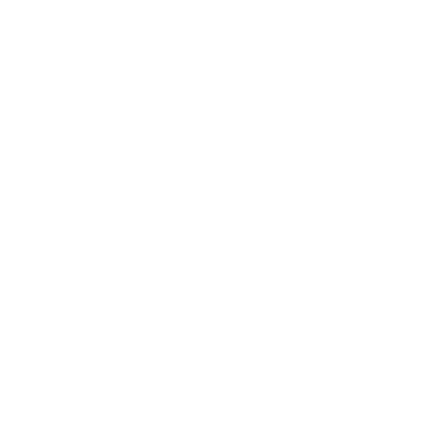 Iron Work Studio